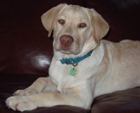 Abby