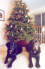 Max and Jazz