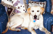 Sadie