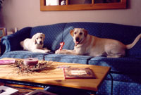 Sadie & Maggie