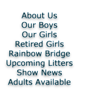 list