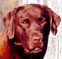 Buster