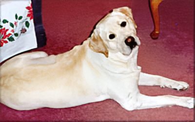 Lindenhall's Jack Dempsey Floyd