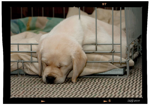 Tired Maddie