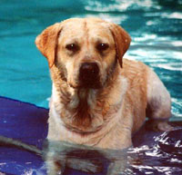 Tiahack on Raft